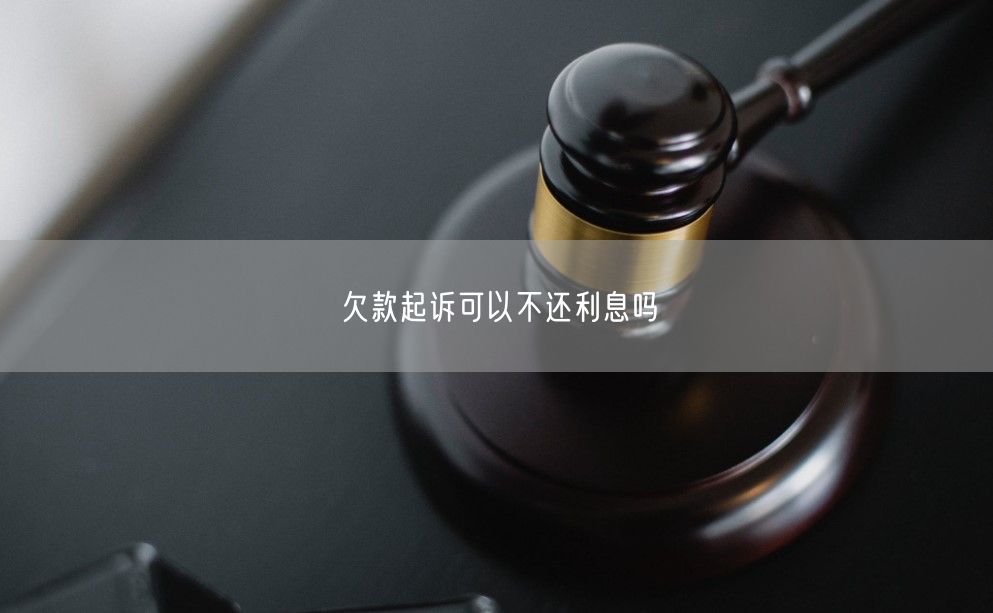 欠款起诉可以不还利息吗