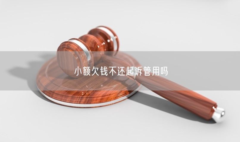 小额欠钱不还起诉管用吗