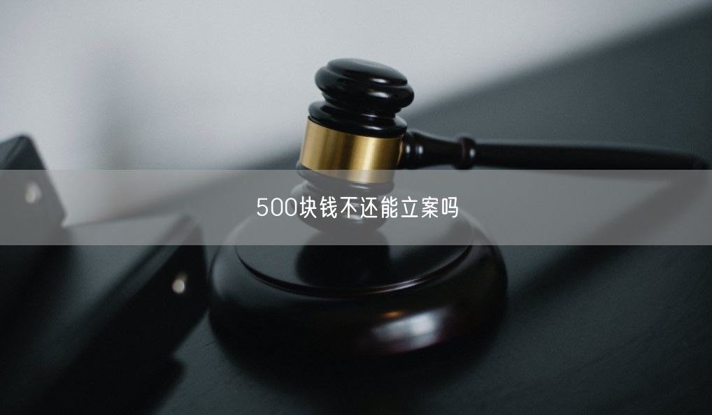 500块钱不还能立案吗