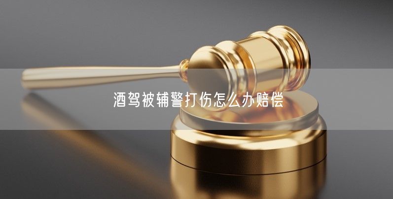 酒驾被辅警打伤怎么办赔偿