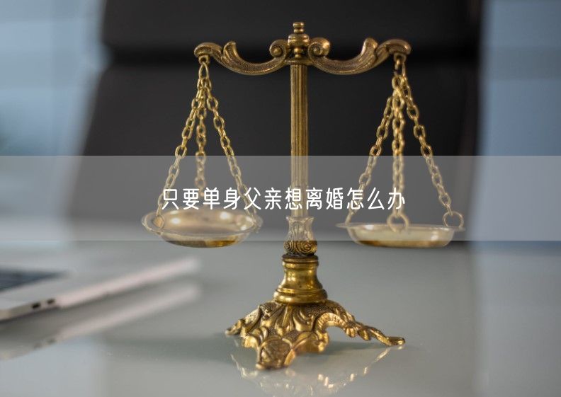 只要单身父亲想离婚怎么办