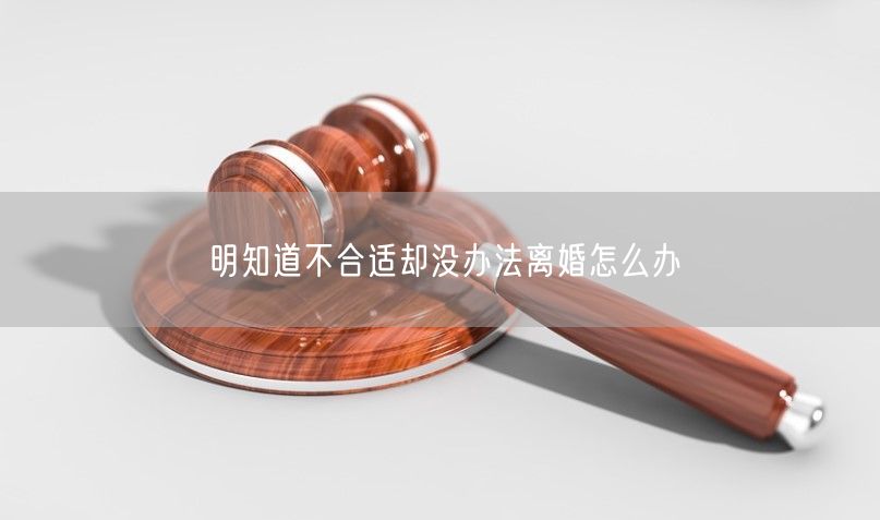 明知道不合适却没办法离婚怎么办