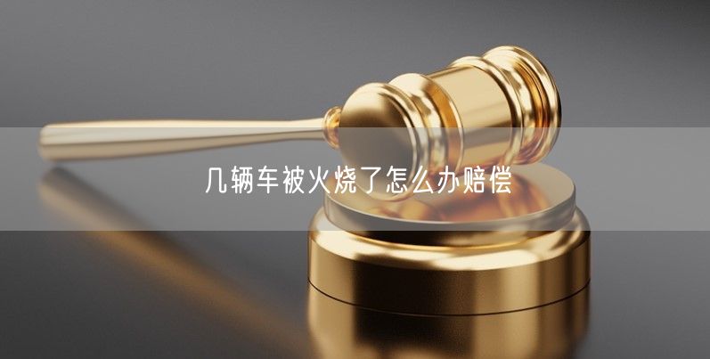 几辆车被火烧了怎么办赔偿