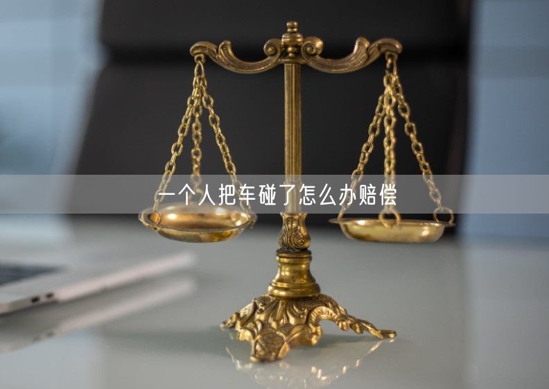 一个人把车碰了怎么办赔偿